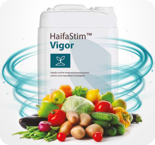 HaifaStim Vigor Aminosäuren